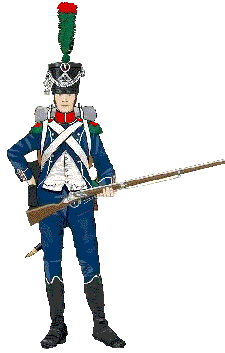 French chasseur in 1809, 
by Joineau