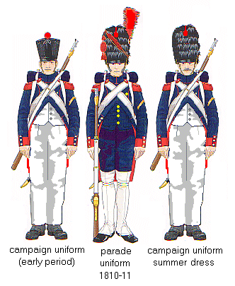 Old Guard Artillery. 
From Jouineau and Mongin.