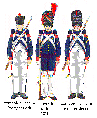 Old Guard Artillery. 
From Jouineau and Mongin.