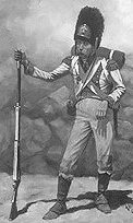 Duch Guard Grenadier.
Picture by Keith Rocco, USA