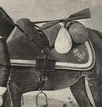 Valtrap of Serpuhov Dragoons
in 1808-1811. Picture by Viskovatov.