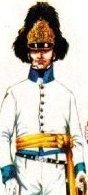 Austrian officer of line infantry, 
grenadiers